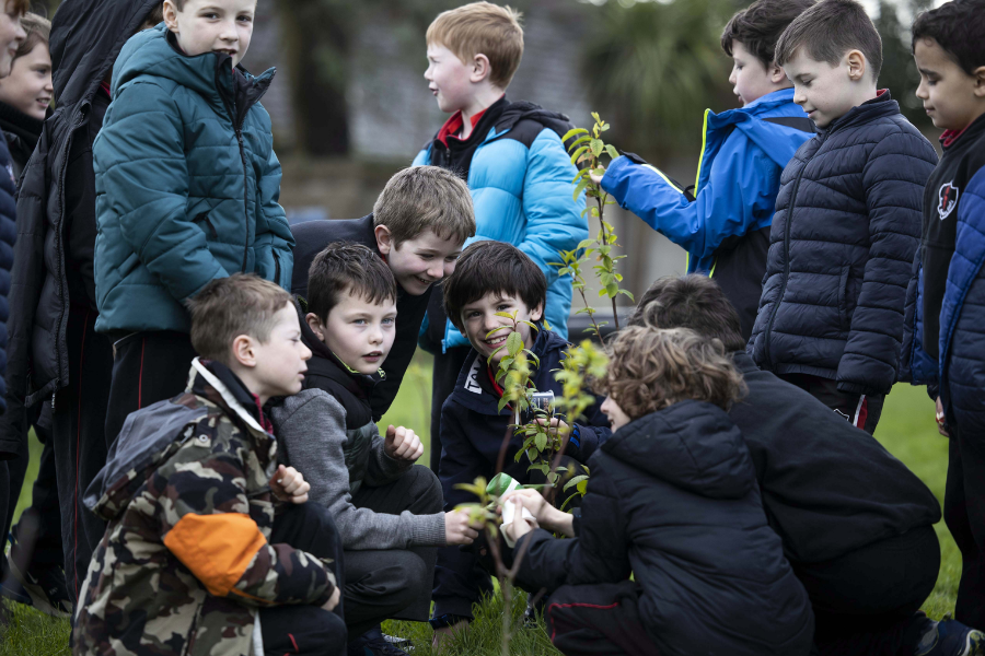 Fair Oak Traveller Encampment