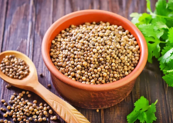 Koriandri: A Complete Guide to Its Origins, Uses, Benefits, and Cultural Significance