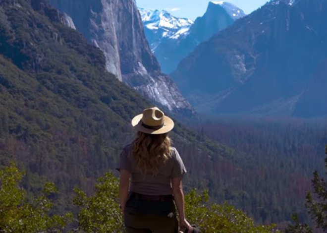 Ракитовица: The Resilient Reed Weaving Through Bulgarian Culture, Craft, and Identity